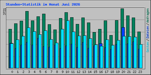 Stunden-Statistik im Monat Juni 2026